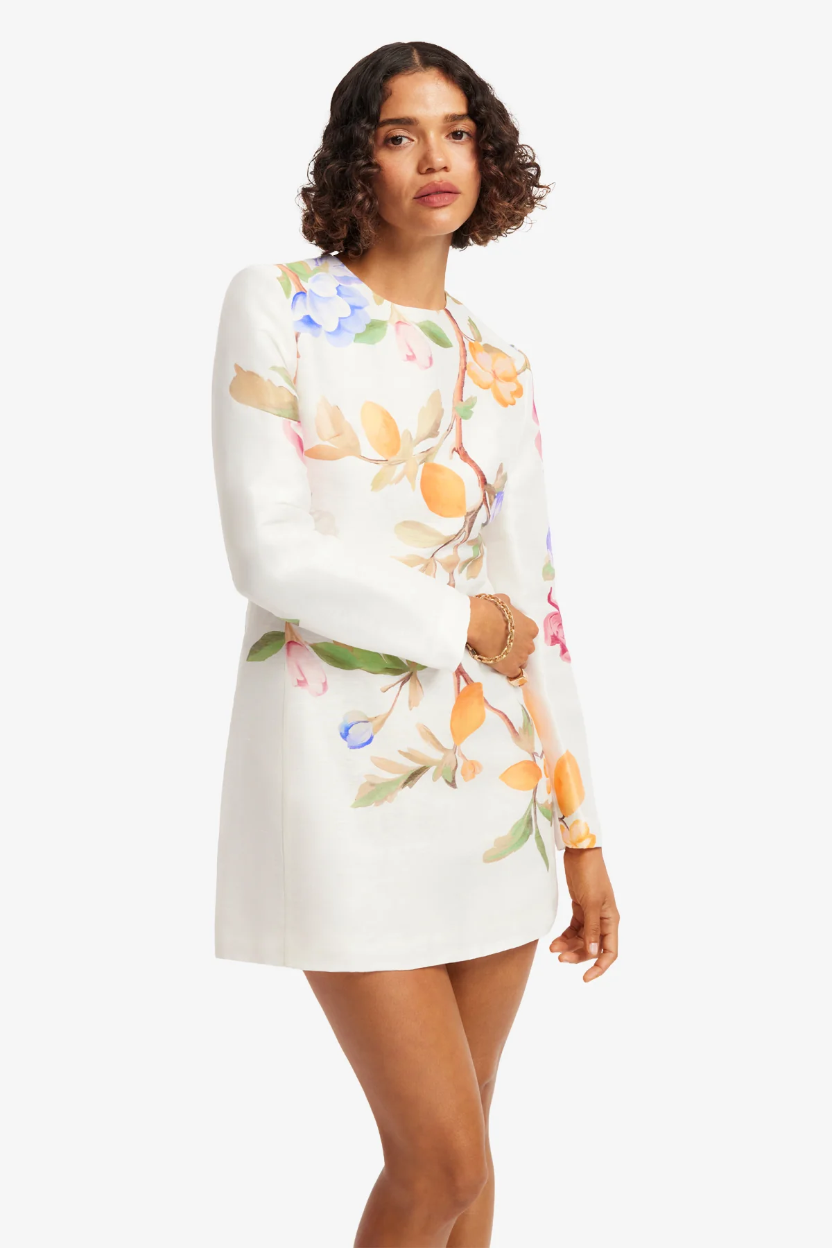 Aliza Long Sleeve Mini Dress - Lemon Vine Print in Snow - Image 6