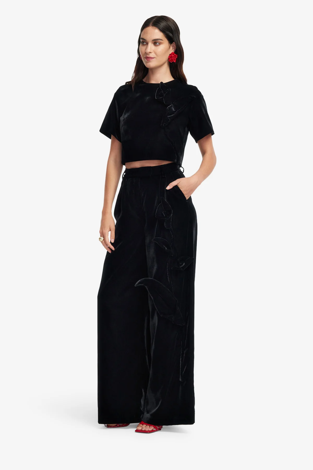 Elisha Velvet Wide Leg Pants - Ebony - Image 4