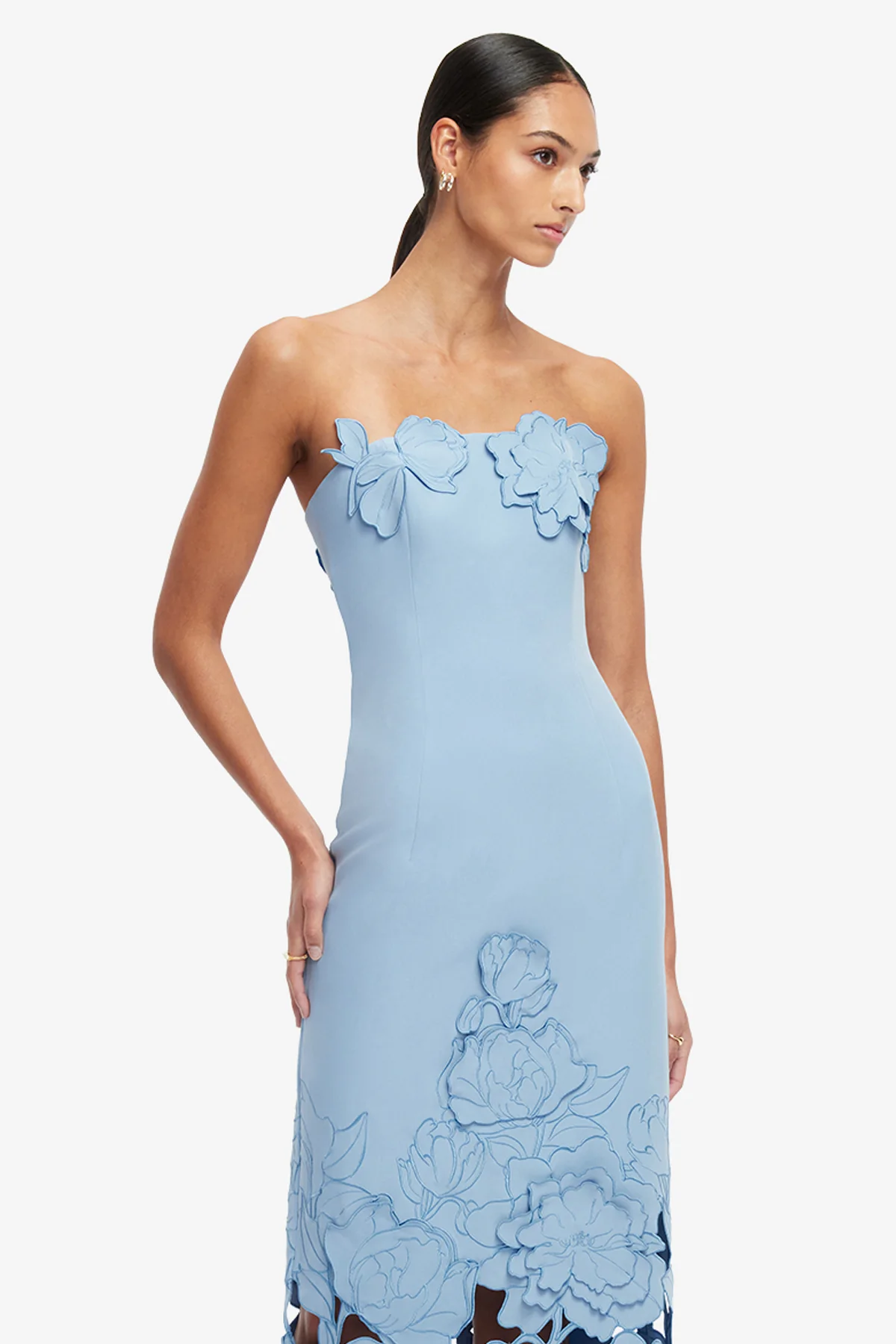 Rayna Appliqué Bustier Maxi Dress - Baby Blue - Image 6