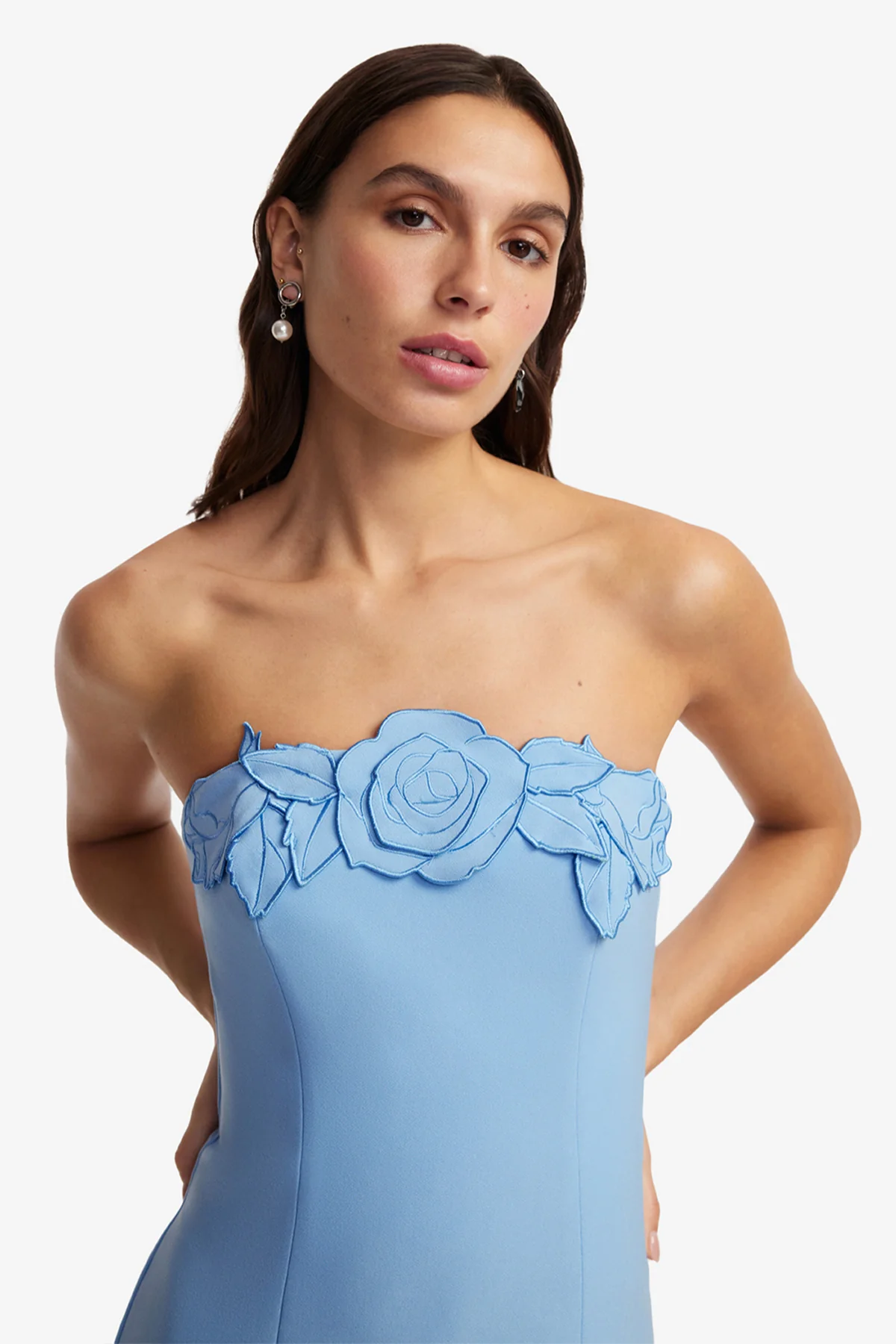 Rayna Appliqué Bustier Maxi Dress - Pastel Blue - Image 6