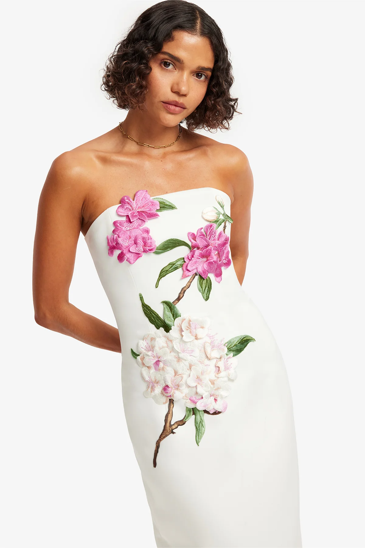 Rayna Appliqué Floral Maxi Dress - Floral Pear Print - Image 6